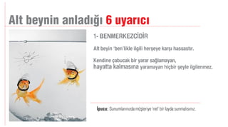 Manifesto Akademi / Sunum Teknikleri 
