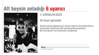 Manifesto Akademi / Sunum Teknikleri 
