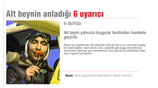 Manifesto Akademi / Sunum Teknikleri 