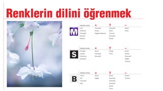 Manifesto Akademi / Sunum Teknikleri 