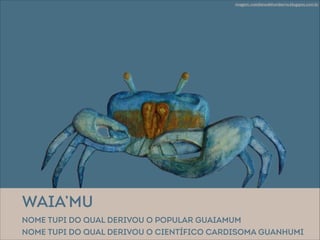 PDF) As vespas que caçam com seus dentes: Artefatos multiespécies, ritual e  relações entre humanos e não humanos entre os Karitiana (Rondônia)