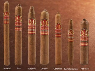 Lancero Toro Torpedo Goloso Coronita Mini Salomon Robusto 
 