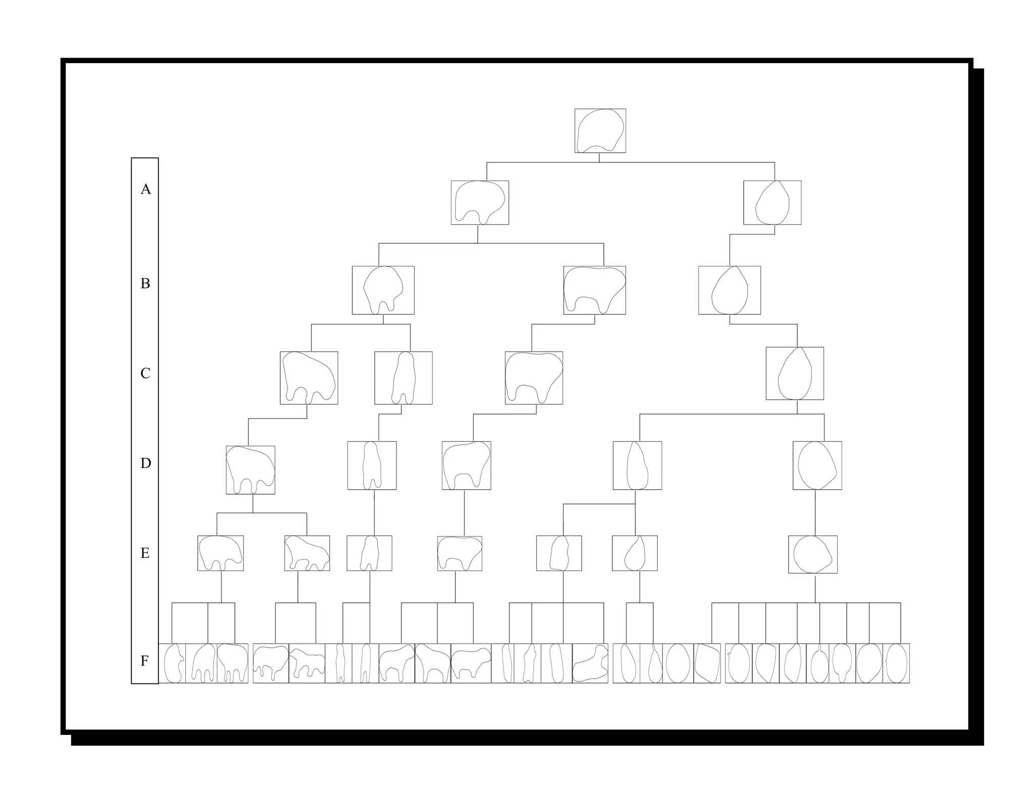 A




B




C




D




E




F
 