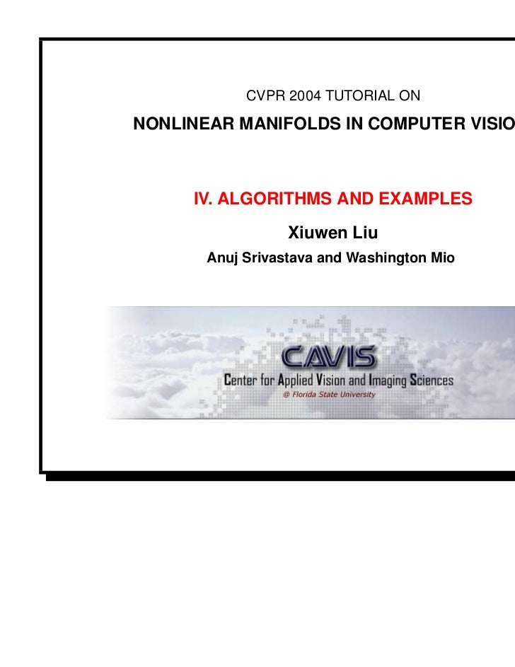 Nonlinear Manifolds in Computer Vision