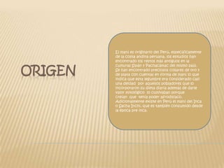El maní es originario del Perú, específicamente de la costa andina peruana, los estudios han encontrado los restos más antiguos en la culturas Sipán y Pachacámac del mismo país.Se han encontrado preciosos collares de oro y de plata con cuentas en forma de maní lo que indica que esta legumbre era considerado casi una deidad  por aquellos pobladores que lo incorporaron su dieta diaria además de darle valor mitológico  lo cultivaban porque creían  que  tenia poder afrodisiaco.Adicionalmente existe en Perú el maní del Inca o Sacha Inchi, que es también consumido desde la época pre inca.origen