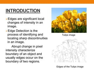 INTRODUCTION
Edges are significant local
changes of intensity in an
image.
Edge Detection is the
process of identifying and
locating sharp discontinuities
in an image.
Abrupt change in pixel
intensity characterize
boundary of an object and
usually edges occur on the
boundary of two regions.
Tulips image
Edges of the Tulips image
 