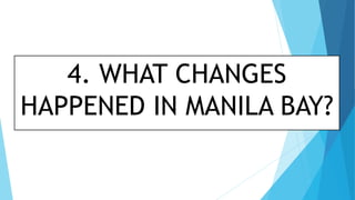 4. WHAT CHANGES
HAPPENED IN MANILA BAY?
 