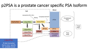 Pros1 Rpsa Role of Prostate Health Index in the changing landscape of prostate ...
