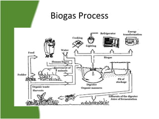 Biogas Process

 