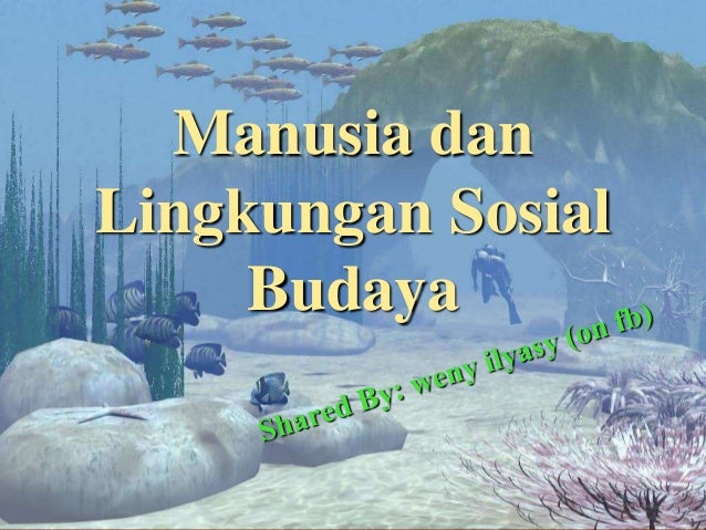 jelaskan fenomena manusia lingkungan sosial Manusia liingkungan sosial budaya jelaskan fenomena manusia lingkungan sosial Manusia liingkungan sosial budaya