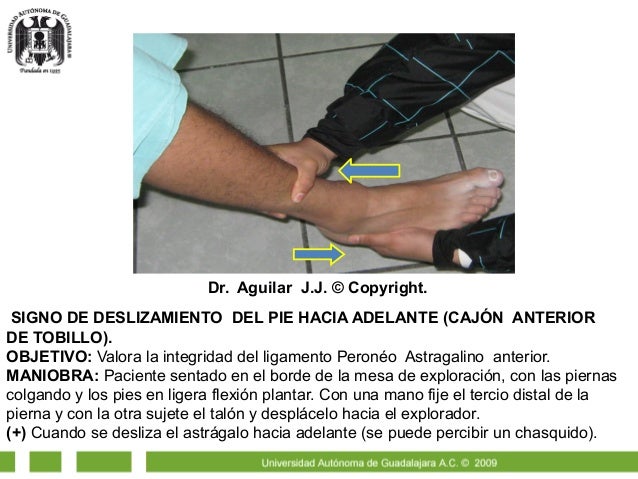 Diagnostico Y Tratamiento En Ortopedia Skinner Pdf Editor