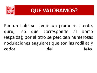 QUE VALORAMOS?

Por un lado se siente un plano resistente,
duro, liso que corresponde al dorso
(espalda); por el otro se perciben numerosas
nodulaciones angulares que son las rodillas y
codos                  del              feto.
 