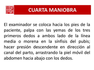 CUARTA MANIOBRA

El examinador se coloca hacia los pies de la
paciente, palpa con las yemas de los tres
primeros dedos a ambos lado de la línea
media o morena en la sínfisis del pubis;
hacer presión descendente en dirección al
canal del parto, arrastrando la piel móvil del
abdomen hacia abajo con los dedos.
 