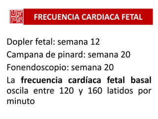 FRECUENCIA CARDIACA FETAL

Dopler fetal: semana 12
Campana de pinard: semana 20
Fonendoscopio: semana 20
La frecuencia cardíaca fetal basal
oscila entre 120 y 160 latidos por
minuto
 