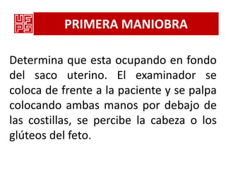PRIMERA MANIOBRA

Determina que esta ocupando en fondo
del saco uterino. El examinador se
coloca de frente a la paciente y se palpa
colocando ambas manos por debajo de
las costillas, se percibe la cabeza o los
glúteos del feto.
 