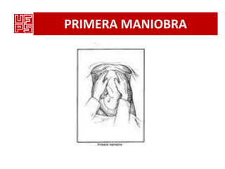PRIMERA MANIOBRA
 