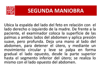 SEGUNDA MANIOBRA

Ubica la espalda del lado del feto en relación con el
lado derecho o izquierdo de la madre. De frente a la
paciente, el examinador coloca la superficie de las
palmas a ambos lados del abdomen y aplica presión
suave, pero profunda. Deja una mano al lado del
abdomen, para detener el útero, y mediante un
movimiento circular y leve se palpa en forma
gradual el lado opuesto, desde la parte superior
hasta el segmento inferior del útero; se realiza lo
mismo con el lado opuesto del abdomen.
 