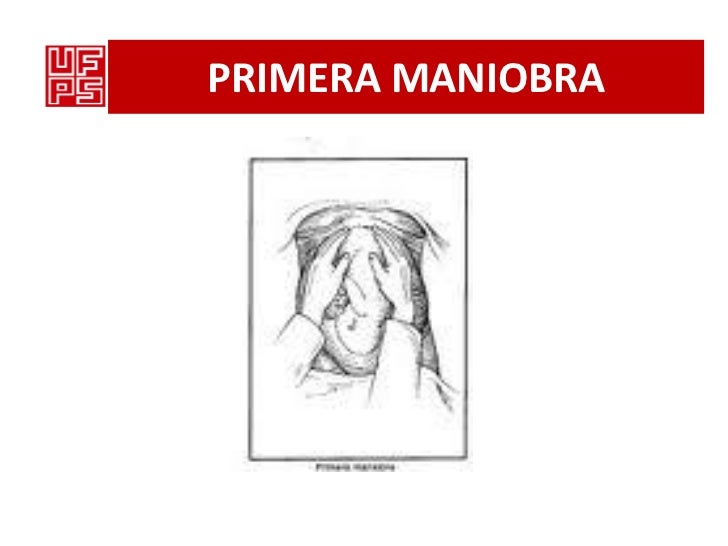 Maniobras de leopold