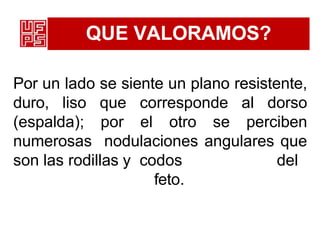 QUE VALORAMOS?
Por un lado se siente un plano resistente,
duro, liso que corresponde al dorso
(espalda); por el otro se perciben
numerosas nodulaciones angulares que
son las rodillas y codos del
feto.
 