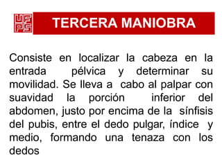 TERCERA MANIOBRA
Consiste en localizar la cabeza en la
entrada pélvica y determinar su
movilidad. Se lleva a cabo al palpar con
suavidad la porción inferior del
abdomen, justo por encima de la sínfisis
del pubis, entre el dedo pulgar, índice y
medio, formando una tenaza con los
dedos
 