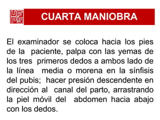 CUARTA MANIOBRA
El examinador se coloca hacia los pies
de la paciente, palpa con las yemas de
los tres primeros dedos a ambos lado de
la línea media o morena en la sínfisis
del pubis; hacer presión descendente en
dirección al canal del parto, arrastrando
la piel móvil del abdomen hacia abajo
con los dedos.
 