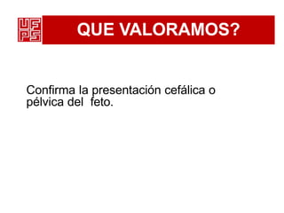 QUE VALORAMOS?
Confirma la presentación cefálica o
pélvica del feto.
 