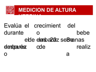 MEDICION DE ALTURA
UTERINA
crecimient
o
embaraz
o.
del
bebe
Se
realiz
a
Evalúa el
durante
el
después
de las 20 semanas
de
embaraz
o
 