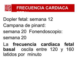 FRECUENCIA CARDIACA
FETAL
Dopler fetal: semana 12
Campana de pinard:
semana 20 Fonendoscopio:
semana 20
La frecuencia cardíaca fetal
basal oscila entre 120 y 160
latidos por minuto
 