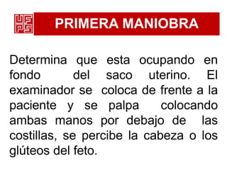 PRIMERA MANIOBRA
Determina que esta ocupando en
fondo del saco uterino. El
examinador se coloca de frente a la
paciente y se palpa colocando
ambas manos por debajo de las
costillas, se percibe la cabeza o los
glúteos del feto.
 