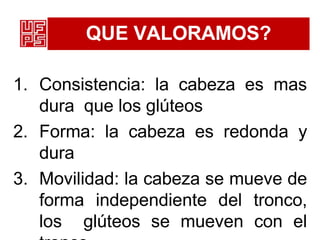 QUE VALORAMOS?
1. Consistencia: la cabeza es mas
dura que los glúteos
2. Forma: la cabeza es redonda y
dura
3. Movilidad: la cabeza se mueve de
forma independiente del tronco,
los glúteos se mueven con el
 