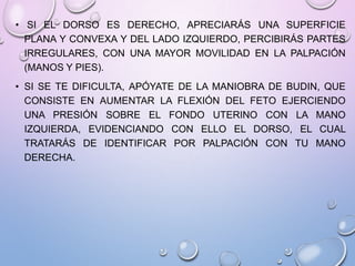 • SI EL DORSO ES DERECHO, APRECIARÁS UNA SUPERFICIE
PLANA Y CONVEXA Y DEL LADO IZQUIERDO, PERCIBIRÁS PARTES
IRREGULARES, CON UNA MAYOR MOVILIDAD EN LA PALPACIÓN
(MANOS Y PIES).
• SI SE TE DIFICULTA, APÓYATE DE LA MANIOBRA DE BUDIN, QUE
CONSISTE EN AUMENTAR LA FLEXIÓN DEL FETO EJERCIENDO
UNA PRESIÓN SOBRE EL FONDO UTERINO CON LA MANO
IZQUIERDA, EVIDENCIANDO CON ELLO EL DORSO, EL CUAL
TRATARÁS DE IDENTIFICAR POR PALPACIÓN CON TU MANO
DERECHA.
 
