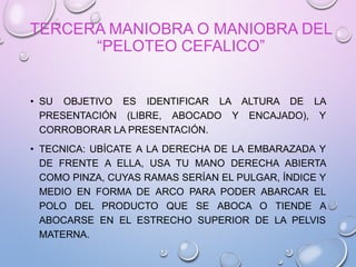 TERCERA MANIOBRA O MANIOBRA DEL
“PELOTEO CEFALICO”
• SU OBJETIVO ES IDENTIFICAR LA ALTURA DE LA
PRESENTACIÓN (LIBRE, ABOCADO Y ENCAJADO), Y
CORROBORAR LA PRESENTACIÓN.
• TECNICA: UBÍCATE A LA DERECHA DE LA EMBARAZADA Y
DE FRENTE A ELLA, USA TU MANO DERECHA ABIERTA
COMO PINZA, CUYAS RAMAS SERÍAN EL PULGAR, ÍNDICE Y
MEDIO EN FORMA DE ARCO PARA PODER ABARCAR EL
POLO DEL PRODUCTO QUE SE ABOCA O TIENDE A
ABOCARSE EN EL ESTRECHO SUPERIOR DE LA PELVIS
MATERNA.
 