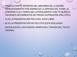 • PINZA LA PARTE INFERIOR DEL ABDOMEN DE LA MADRE
INMEDIATAMENTE POR ARRIBA DE LA SÍNFISIS DEL PUBIS. AL
TOMARSE FIJA Y DESPLAZA LATERALMENTE CON TÚ MUÑECA
HACIENDO MOVIMIENTOS DE PRONO-SUPINACIÓN (PELOTEO).
• A) SI LA PRESENTACIÓN PELOTEA, ESTA LIBRE.
• B) SI LA PRESENTACIÓN NO PELOTEA ESTA ENCAJADA.
ESTOS DATOS LOS PODRÁS VERIFICAR A TRAVÉS DEL TACTO
VAGINAL.
 