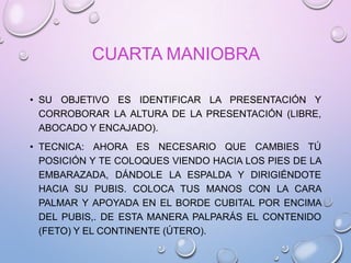 CUARTA MANIOBRA
• SU OBJETIVO ES IDENTIFICAR LA PRESENTACIÓN Y
CORROBORAR LA ALTURA DE LA PRESENTACIÓN (LIBRE,
ABOCADO Y ENCAJADO).
• TECNICA: AHORA ES NECESARIO QUE CAMBIES TÚ
POSICIÓN Y TE COLOQUES VIENDO HACIA LOS PIES DE LA
EMBARAZADA, DÁNDOLE LA ESPALDA Y DIRIGIÉNDOTE
HACIA SU PUBIS. COLOCA TUS MANOS CON LA CARA
PALMAR Y APOYADA EN EL BORDE CUBITAL POR ENCIMA
DEL PUBIS,. DE ESTA MANERA PALPARÁS EL CONTENIDO
(FETO) Y EL CONTINENTE (ÚTERO).
 