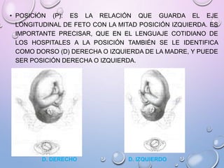 • POSICIÓN (P): ES LA RELACIÓN QUE GUARDA EL EJE
LONGITUDINAL DE FETO CON LA MITAD POSICIÓN IZQUIERDA. ES
IMPORTANTE PRECISAR, QUE EN EL LENGUAJE COTIDIANO DE
LOS HOSPITALES A LA POSICIÓN TAMBIÉN SE LE IDENTIFICA
COMO DORSO (D) DERECHA O IZQUIERDA DE LA MADRE, Y PUEDE
SER POSICIÓN DERECHA O IZQUIERDA.
D. DERECHO D. IZQUIERDO
 