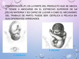 • PRESENTACIÓN (P): ES LA PARTE DEL PRODUCTO QUE SE ABOCA
O TIENDE A ABOCARSE EN EL ESTRECHO SUPERIOR DE LA
PELVIS MATERNA Y ES CAPAZ DE LLEVAR A CABO EL MECANISMO
DEL TRABAJO DE PARTO; PUEDE SER: CEFÁLICA O PÉLVICA EN
SUS DIFERENTES VARIEDADES.
P. CEFALICA
P. PELVICA
 