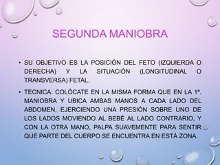 SEGUNDA MANIOBRA
• SU OBJETIVO ES LA POSICIÓN DEL FETO (IZQUIERDA O
DERECHA) Y LA SITUACIÓN (LONGITUDINAL O
TRANSVERSA) FETAL.
• TECNICA: COLÓCATE EN LA MISMA FORMA QUE EN LA 1ª.
MANIOBRA Y UBICA AMBAS MANOS A CADA LADO DEL
ABDOMEN, EJERCIENDO UNA PRESIÓN SOBRE UNO DE
LOS LADOS MOVIENDO AL BEBÉ AL LADO CONTRARIO, Y
CON LA OTRA MANO, PALPA SUAVEMENTE PARA SENTIR
QUE PARTE DEL CUERPO SE ENCUENTRA EN ESTÁ ZONA.
 