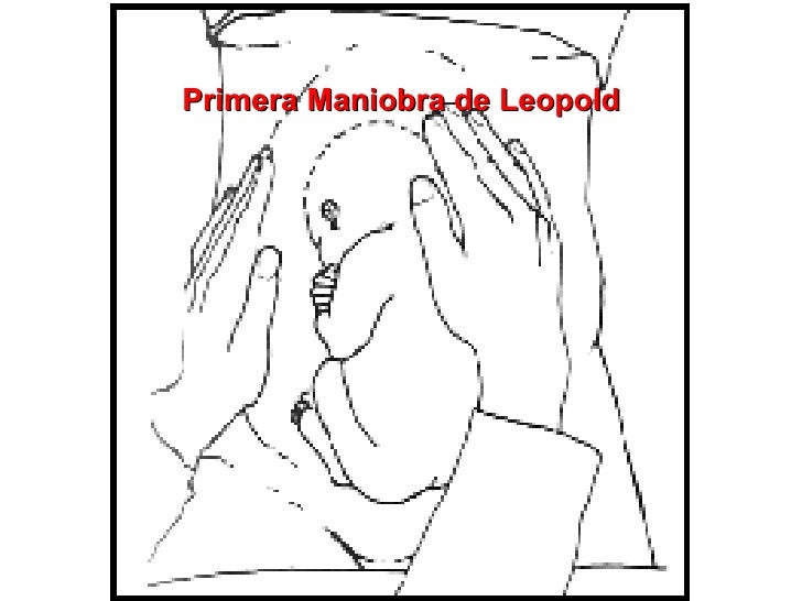 Maniobras De Parto[1]