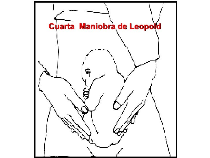 Maniobras De Parto[1]