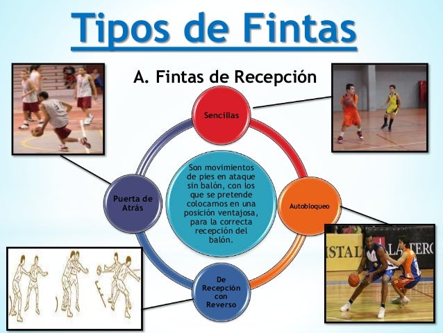 Maniobras y fintas del baloncesto. prismary betanourt