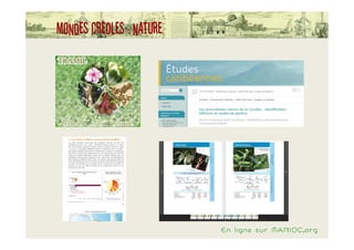 Mondes créoles : nature




                          En ligne sur MANIOC.org
 
