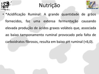 Nutrição
• *Acidificação Ruminal: A grande quantidade de grãos
fornecidos, faz uma extensa fermentação causando
elevada produção de ácidos graxos voláteis que, associada
ao baixo tamponamento ruminal provocado pela falta de
carboidratos fibrosos, resulta em baixo pH ruminal (<6,0).
 