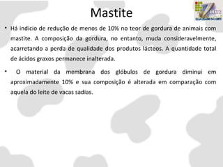 Mastite
• Há indicio de redução de menos de 10% no teor de gordura de animais com
mastite. A composição da gordura, no entanto, muda consideravelmente,
acarretando a perda de qualidade dos produtos lácteos. A quantidade total
de ácidos graxos permanece inalterada.
• O material da membrana dos glóbulos de gordura diminui em
aproximadamente 10% e sua composição é alterada em comparação com
aquela do leite de vacas sadias.
 