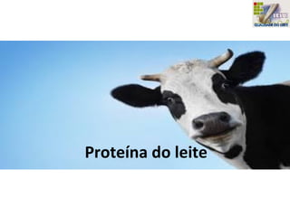 Proteína do leite
 
