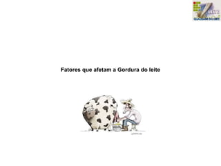 Fatores que afetam a Gordura do leite
 
