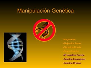 Manipulación Genética Integrantes: -Alejandra Araus -Christina Brevis -Paula Concha -Mª Josefina Furche -Catalina Lisperguier -Catalina Urbano 