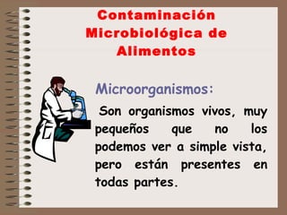 Contaminación Microbiológica de Alimentos Microorganismos: Son organismos vivos, muy pequeños que no los podemos ver a simple vista, pero están presentes en todas partes.  