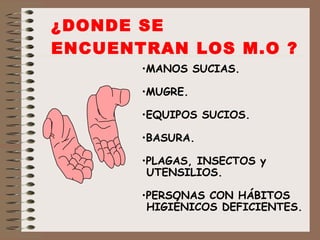 ¿DONDE SE ENCUENTRAN LOS M.O ?   MANOS SUCIAS. MUGRE. EQUIPOS SUCIOS. BASURA. PLAGAS, INSECTOS y  UTENSILIOS. PERSONAS CON HÁBITOS  HIGIÉNICOS DEFICIENTES. 