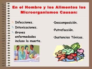 En el Hombre y los Alimentos los Microorganismos Causan: Infecciones. Intoxicaciones.  Graves enfermedades incluso la muerte. Descomposición. Putrefacción. Sustancias Tóxicas. 
