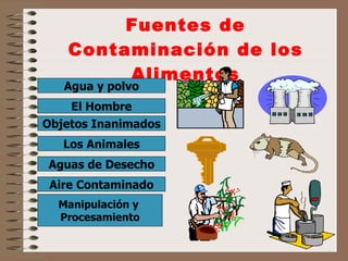 Fuentes de Contaminación de los Alimentos Agua y polvo El Hombre Objetos Inanimados Los Animales Aguas de Desecho Aire Contaminado Manipulación y  Procesamiento 